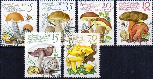 Ddr alemania oriental serie - oriental,